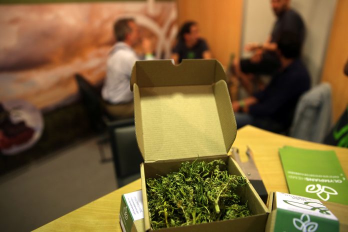 BALKANNABIS EXPO - ΕΜΠΟΡΙΚΗ ΕΚΘΕΣΗ ΠΡΟΙΟΝΤΩΝ ΚΑΝΝΑΒΗΣ BALKANNABIS EXPO - ΕΜΠΟΡΙΚΗ ΕΚΘΕΣΗ ΠΡΟΙΟΝΤΩΝ ΚΑΝΝΑΒΗΣ