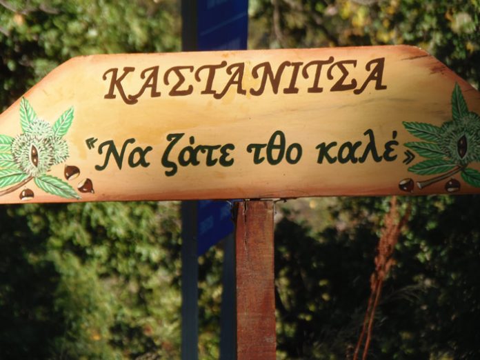 kastano-kastanitsa Σε εξέλιξη το πρόγραμμα βιολογικής καταπολέμησης της σφήκας της καστανιάς