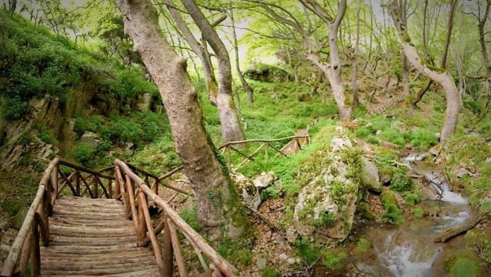 Τα μονοπάτια των νησιών της Δωδεκανήσου καταγράφει η Διεύθυνση Δασών Τα μονοπάτια των νησιών της Δωδεκανήσου καταγράφει η Διεύθυνση Δασών