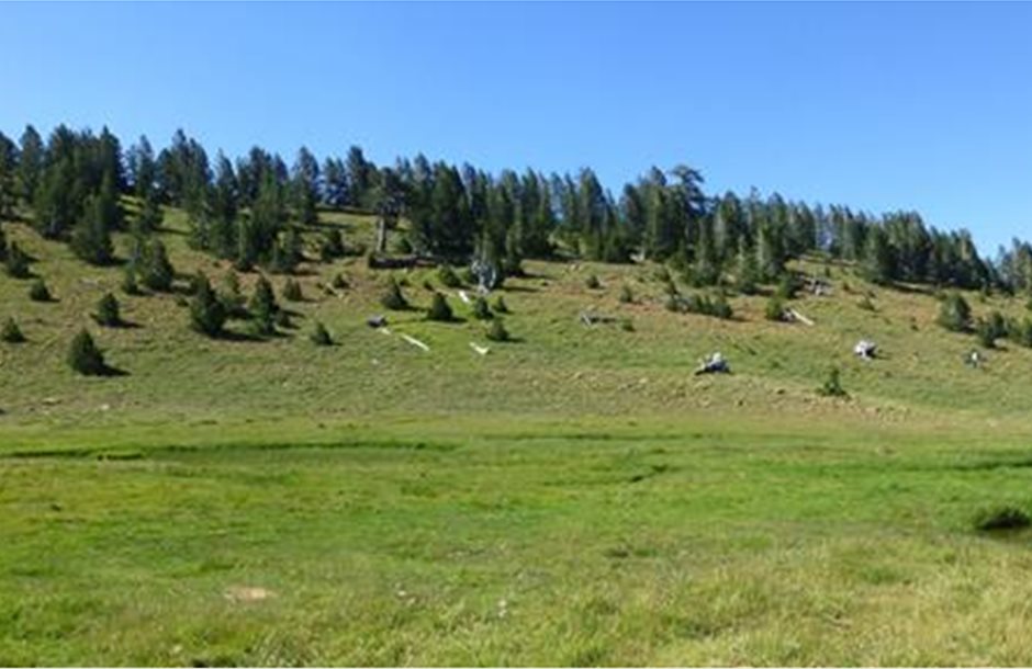 oloklirothike-me-epitychia-to-9o-panellinio-livadoponiko-synedrio-sti-larisa-137792