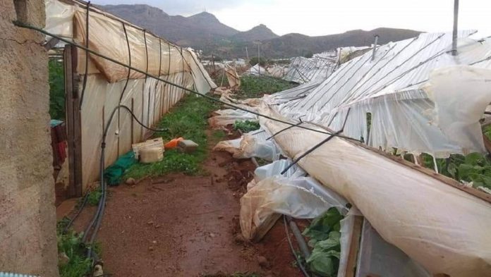 Περισσότερες από 2.400 αιτήσεις αποζημίωσης στον ΕΛΓΑ από παραγωγούς της Δυτικής Ελλάδας Περισσότερες από 2.400 αιτήσεις αποζημίωσης στον ΕΛΓΑ από παραγωγούς της Δυτικής Ελλάδας