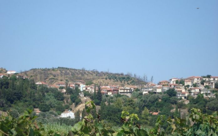 Landowners are excited about Kato Panagia, Ilia Landowners are excited about Kato Panagia, Ilia
