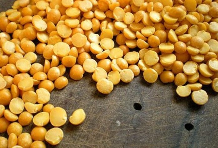fava_feneou fava_feneou