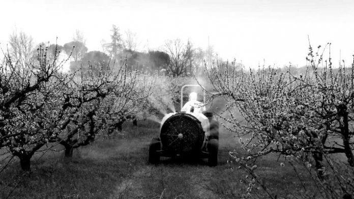 fitofarmaka-sxedio-e1541754472575-blackwhite