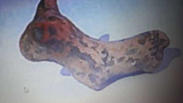foititis-vrike-ston-psiloreiti-minoiko-eidolio-139565