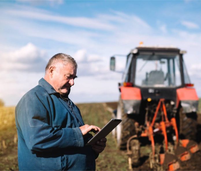 forologia agrotis