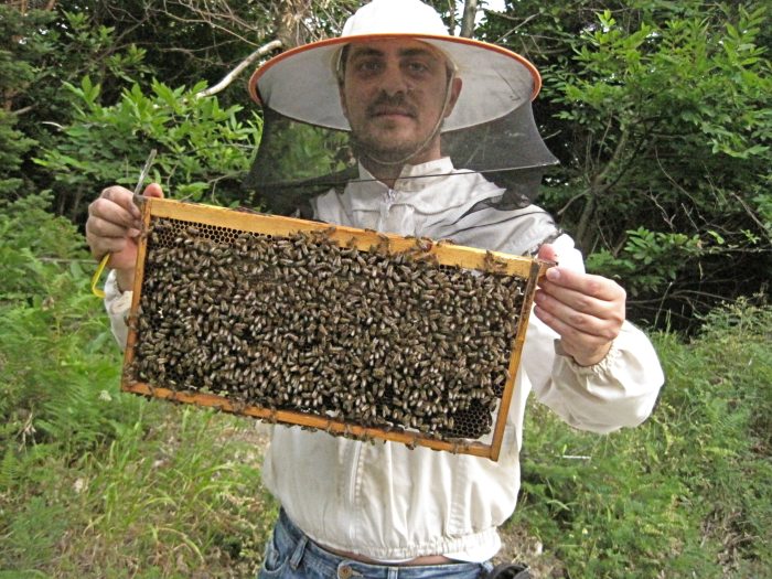 giannis-tabaris-chrysa-nikiforou-oi-melissokomoi-pou-exagoun-se-14-chores-141545