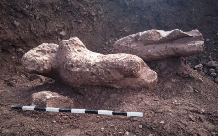 Στο φως οι «κούροι της Αταλάντης» (φώτος) Στο φως οι «κούροι της Αταλάντης» (φώτος)