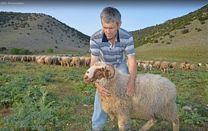 Διαχωρισμό ΕΛΓΑ σε γεωργικό και κτηνοτροφικό αλλά και ελέγχους στο γάλα ζητούν οι Θεσσαλοί κτηνοτρόφοι Διαχωρισμό ΕΛΓΑ σε γεωργικό και κτηνοτροφικό αλλά και ελέγχους στο γάλα ζητούν οι Θεσσαλοί κτηνοτρόφοι