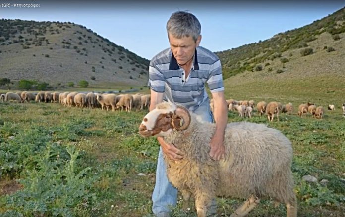 Διαχωρισμό ΕΛΓΑ σε γεωργικό και κτηνοτροφικό αλλά και ελέγχους στο γάλα ζητούν οι Θεσσαλοί κτηνοτρόφοι