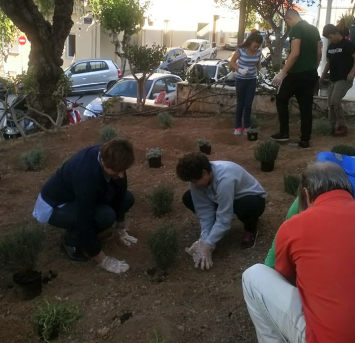 Μαθητές φύτεψαν αρωματικά φυτά στην είσοδο της Π.Ε. Λασιθίου