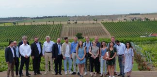 Νέες ευκαιρίες στα ελληνικά κρασιά να κατακτήσουν τη Γερμανία προσφέρει η BASF Weinkeller