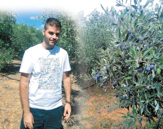 Χρήστος Καμπούρης: Ο ελαιοπαραγωγός που έβαλε την τεχνολογία πάνω από την παράδοση Χρήστος Καμπούρης: Ο ελαιοπαραγωγός που έβαλε την τεχνολογία πάνω από την παράδοση