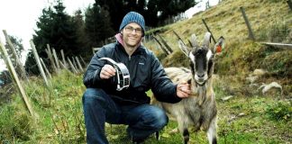 nofence φράχτης κτηνοτροφία στην Νορβηγία
