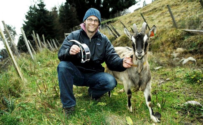 nofence φράχτης κτηνοτροφία στην Νορβηγία
