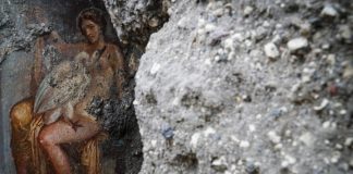Νωπογραφία της βασίλισσας της Σπάρτης Λήδας και του κύκνου-Δία ανακαλύφθηκε στην Πομπηΐα