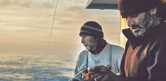 psarema-alieia-stine-ellada