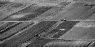 Πάνω από τις μισές αγροτικές εκτάσεις της ΕΕ εξακολουθούν να μισθώνονται αντί να καλλιεργούνται από τον ιδιοκτήτη τους