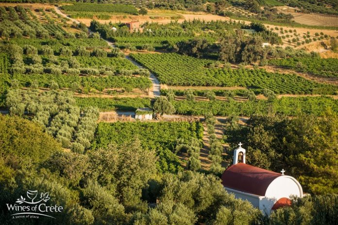 Κρήτη: Νέο Διοικητικό Συμβούλιο για το Δίκτυο Οινοποιών Ηρακλείου