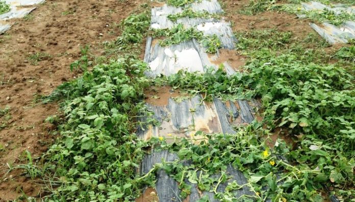 Λάρισα: 4,8 εκ. ευρώ για ζημιές από τις θεομηνίες του Φεβρουαρίου 2018 Λάρισα: 4,8 εκ. ευρώ για ζημιές από τις θεομηνίες του Φεβρουαρίου 2018