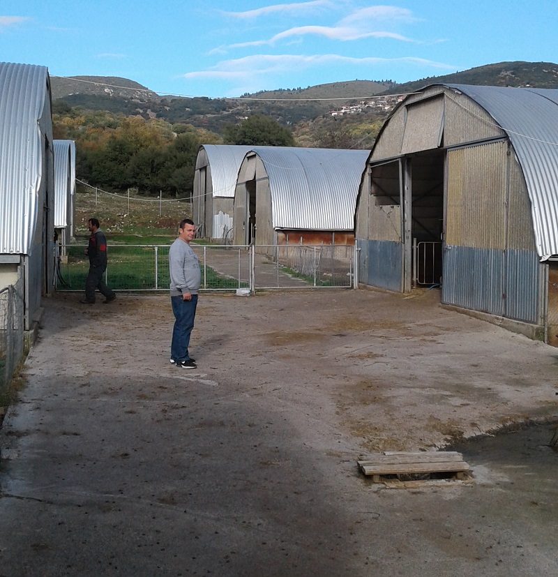 Γενετική βελτίωση και βιολογική εκτροφή για καλύτερες τιμές στην αγορά