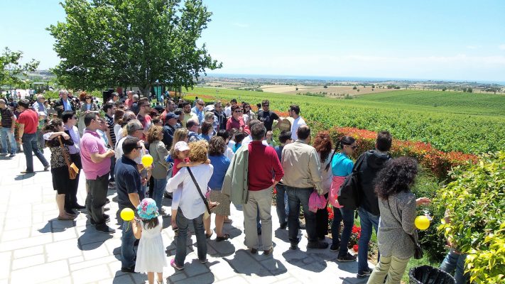 i-ypaithros-protagonistria-stin-anaptyxi-tou-thematikou-tourismou-143688