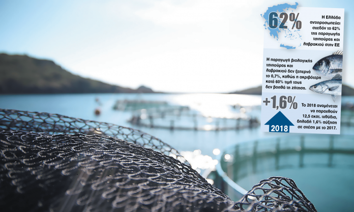 alieia-infographic-min alieia-infographic-min
