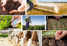 Κόστος παραγωγής: Αύξηση 1,2% σε γεωργία και κτηνοτροφία τον Φεβρουάριο του 2019 σε σύγκριση με το 2018