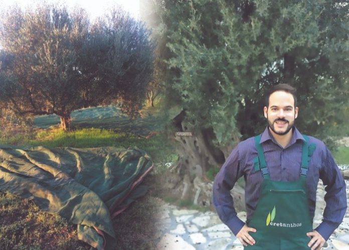 cretathon-neos-agrotis Παράγουμε πιστοποιημένο, βιολογικό, εξαιρετικά παρθένο ελαιόλαδο, προϊόν Προστατευόμενης Ονομασίας Προέλευσης (Π.Ο.Π.) Βόρειου Μυλοποτάμου Κρήτης, υψηλής περιεκτικότητας σε πολυφαινόλες.