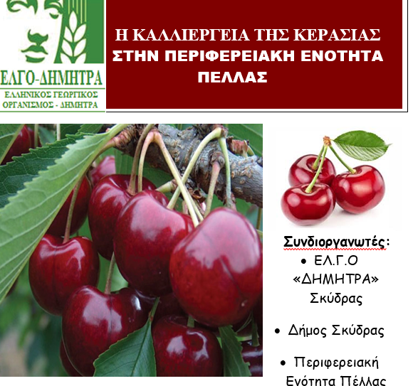 ekdilosi-gia-tin-kalliergeia-tis-kerasias-stin-pella-apo-ton-elgo-142000