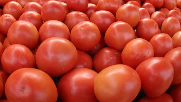 kataschesi-kai-katastrofi-1-tonou-ntomatas-me-ypoleimmata-fytofarmakon-142193