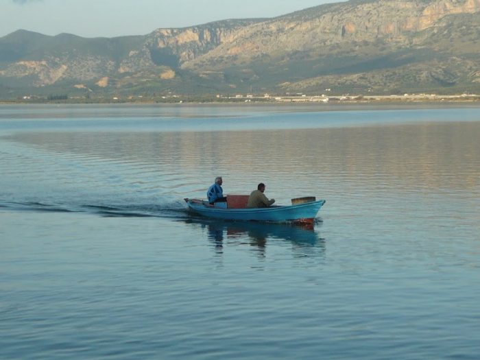 Σημαντικό προϊον της λιμνοθάλασσας είναι το αβγοτάραχο Μεσολογγίου, η παραγωγή του οποίου εκτιμάται σε 600‐700 κιλά ανά έτος limnothalassa
