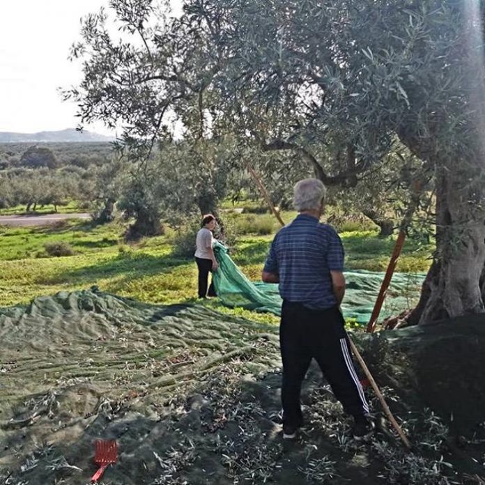 mazema-elias - Κατω Βερβενα mazema-elias - Κατω Βερβενα