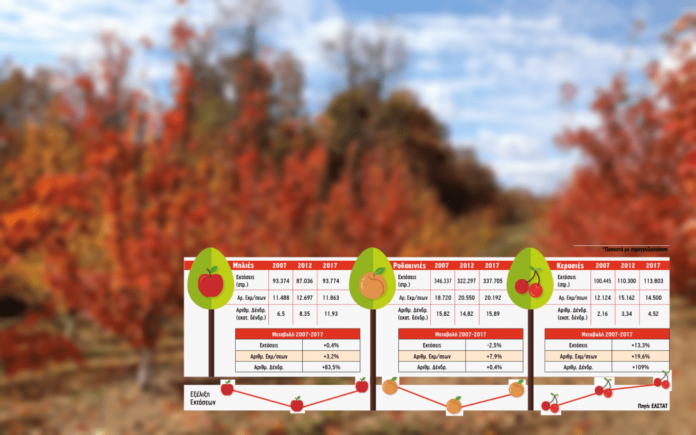 milies-kerasies-rodakina-infographic-min milies-kerasies-rodakina-infographic-min