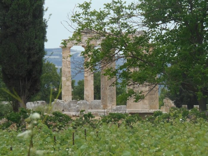 nea-archi-sti-nemea-me-ti-leitourgia-tis-diepangelmatikis-143131