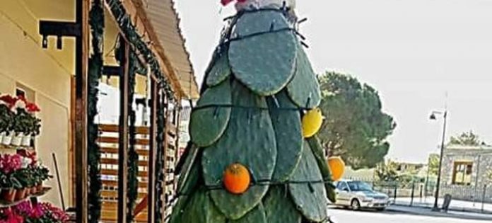 Tο πιο πρωτότυπο χριστουγεννιάτικο δέντρο σε όλη τη χώρα βρίσκεται στη Μάνη