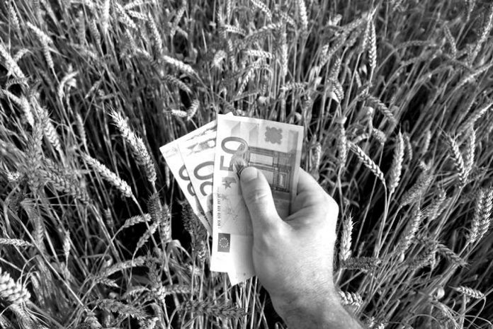 shutterstock_52110376-weboptimised-1024x685-blackwhite