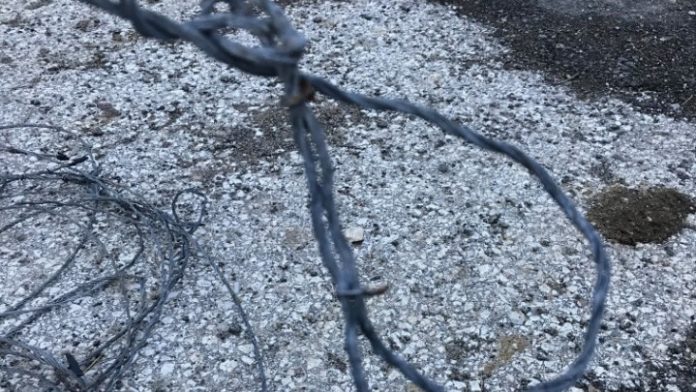 Θηλιές για την παράνομη θήρευση άγριων ζώων βρέθηκαν κοντά στα ελληνοαλβανικά σύνορα Θηλιές για την παράνομη θήρευση άγριων ζώων βρέθηκαν κοντά στα ελληνοαλβανικά σύνορα
