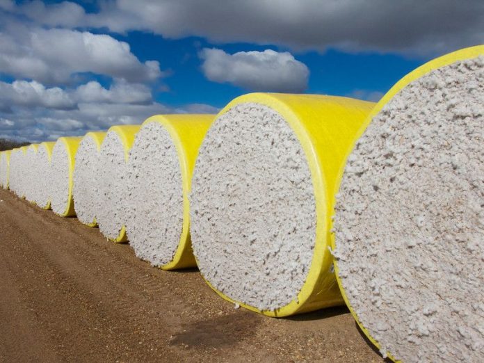 vamvaki bales