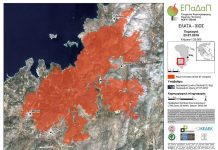 Η βραβευμένη εφαρμογή του ΑΠΘ για τη χαρτογράφηση των καμένων εκτάσεων και την αξιοποίηση των δασών