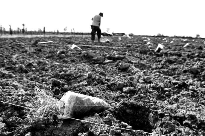 agrotes-xorafi-epidotiseis-e1548960811222-blackwhite