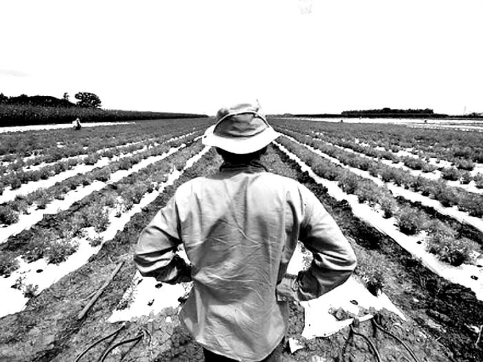 farm-europe-gia-kap-adika-kai-aneparki-ta-µetra-pou-efarµozontai-µechri-siµera-145761