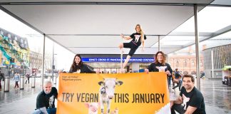 ekstrateia-veganuary