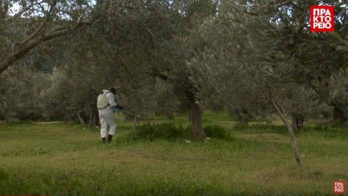 Οδηγίες επιλογής και χρήσης των κατάλληλων ζιζανιοκτόνων από την ΔΑΟΚ Μεσσηνίας Οδηγίες επιλογής και χρήσης των κατάλληλων ζιζανιοκτόνων από την ΔΑΟΚ Μεσσηνίας
