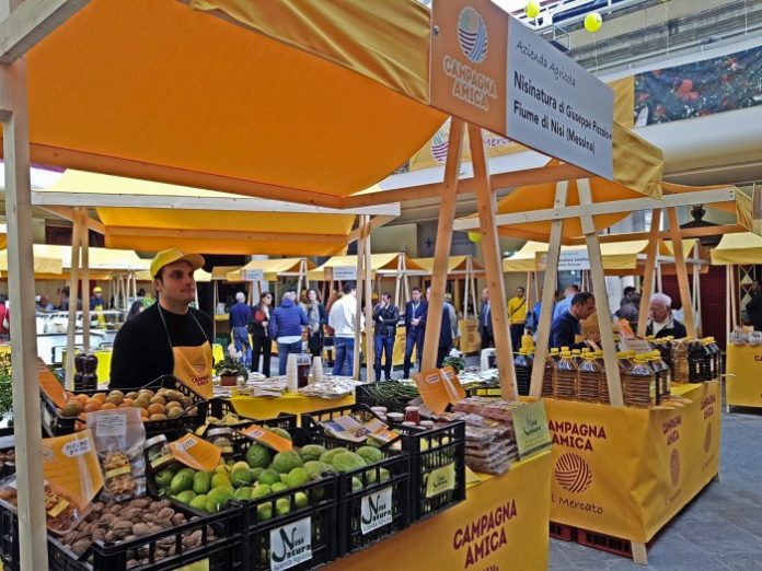 italia-agrotika-proionta italia-agrotika-proionta