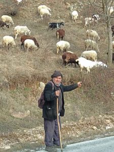 ktinotrofos-pomakoxoria