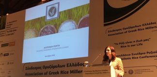 Άνοιξε δρόμους για το ελληνικό ρύζι το 1ο Πανελλήνιο Συνέδριο στη Θεσσαλονίκη