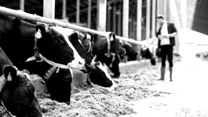 proteinouxes-kalliergies-zootrofes-blackwhite