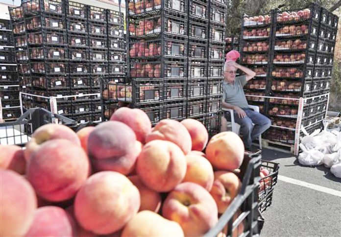 Aποζημιώνονται με de minimis και οι παραγωγοί συμπύρηνων ροδάκινων Aποζημιώνονται με de minimis και οι παραγωγοί συμπύρηνων ροδάκινων