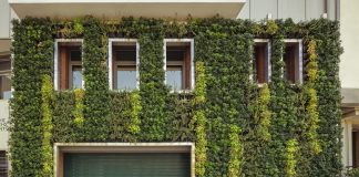 Θεσσαλονίκη: Ο πρώτος κάθετος κήπος σε δημόσιο κτίριο στην Ελλάδα